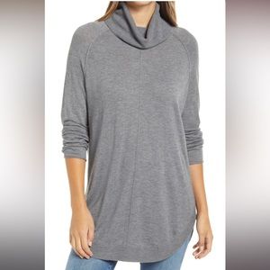 Caslon Turtleneck Tunic Sweater
